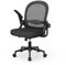 naspaluro Home Office Chair Ergonomic Desk Chair Swivel Computer Chair Mid-Back Mesh Chair with Flip-up Armrests and Lumbar Support for Home/Office - Black