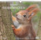 Geliebte Eichhörnchen 2026 - DUMONT Wandkalender - mit den wichtigsten Feiertagen - Format 38,0 x 35,5 cm: Beloved Squirrels - Adorables ecureuils