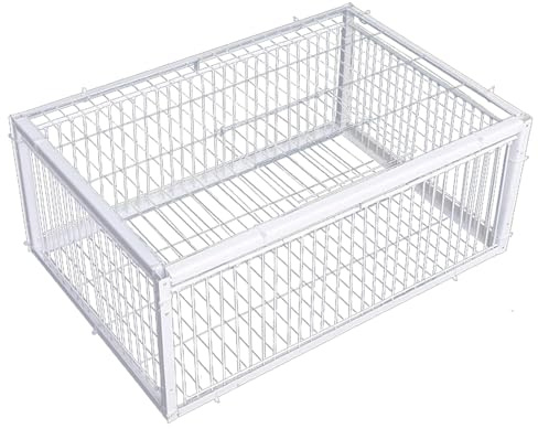 Trampa de Conejo, Trampa para pájaros con diseño a Prueba de Escape Jaula de Paloma de Hierro al Aire Libre jardín de jardín de Humane para Paloma Pollo Conejo de ratón, Jaula