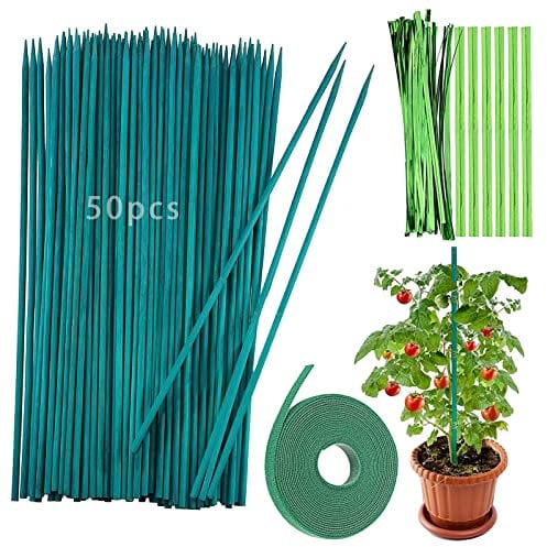 50 Stück Pflanzenstäbe, 38cm Pflanzenstützen, Grüne BlumenstäBchen Bambusstäbe und 50 Metallischen Bindebändern, mit 1 Floristenband für Haus Garten Kletterpflanze Erweiterung der Pflanzenstütze