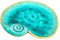 Darthome Shell Trinket Dish Blue Ceramic Decor Jewellery Plate Nautical Storage Ornament 26cm