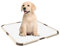 pet prime Puppy Pad Holder, Puppy Toilet Portable Tray, Protection Against Pad Leakage Portable Pet Pee Pad Tray for Pet Training, Holds Pad 53 x 53 cms or Larger