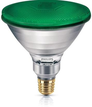 DSTOCK60 - Reflektorlampe PAR-38 Grün - Leuchtmittel 80 W E27