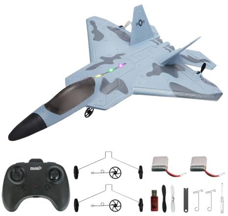SAYZON Avion RC F22 Raptor modèle 2CH LED RTF P530 RC Jet pour garçons extérieur 2,4 GHz RC planeur d'avion avec 2 batteries