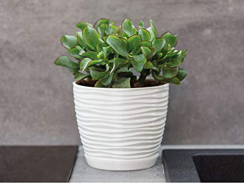 KORAD 3D Sahara Plant Pots with Matching Saucers. Decorative Planters with Drainage Holes for Indoor and Outdoor. Available in 7 Sizes and 8 Colours- (H 8.5 in(21.5 cm) - D 9 in(23 cm), Creamy White)