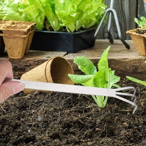 Telituny Rastrello bonsai, strumenti per rastrello per radici per bonsai Rastrello per radici in acciaio inossidabile 3 punte allentate per bonsai allenta e arieggia il terreno rimuovendo erbacce