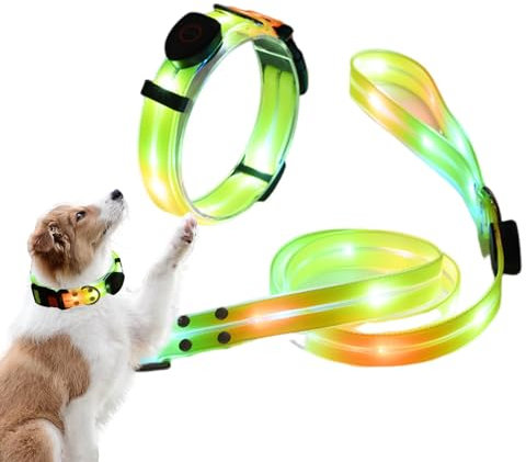 Laisses Lumineuses pour Chien pour Promenade, Colliers Lumineux pour Chien | Cordes pour Chiens éclairées avec Colliers - Laisse pour Chien Haute visibilité, 3 Modes d'éclairage, laisses et