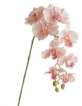 Artificial Phalaenopsis Orchid Flowers, 9 Heads Realistic Orchid Stems - 98cm Long Wedding & Home Decor, Indoor Orchid(Color8)