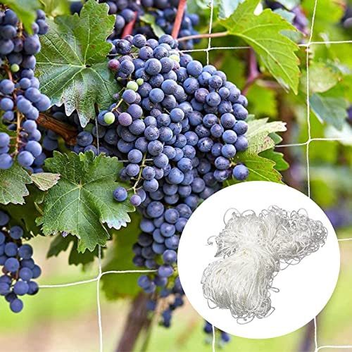 Pflanze Spalier Netz, Verdickung Pflanzennetz, Großer Maschenweite Pflanze Spalier Netz, Geeignet für Tomaten, Trauben, Bohnen, Melonen, Gurken, Luffa (1,6 m x 5 m)