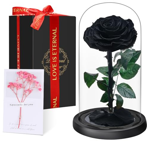 Premium Ewige Rose im Glas mit Geschenkbox | Echte konservierte Blume in Handarbeit für 5 Jahre | Einzigartiges Geschenk für Frau, Mama als Liebesbeweis zu Valentinstag, Muttertag, Weihnachte, Schwarz