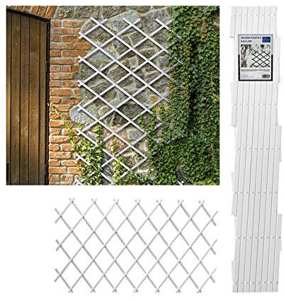 Celosia Extensible Plastica Color (1x3 Metros, Blanca)