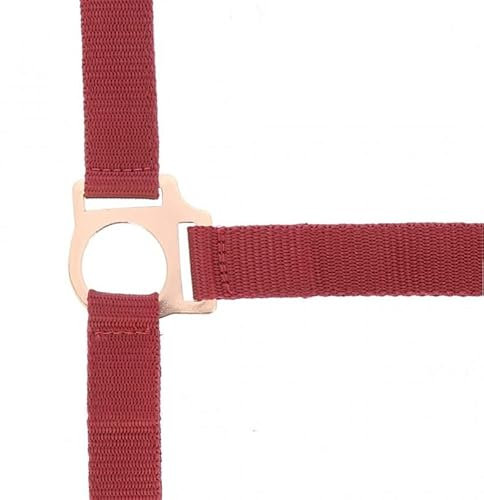 NORTON „Roségold“ Halfter und Führstrick, Warmblut, bordeauxrot