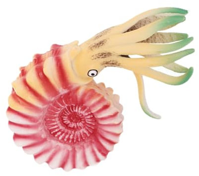 ifundom Nautilus Modell Spielzeug Für Realistisches Meerestier- Plastisches Nautilus-Ornament Für Aquarien Für Bildung Und Spiel Detailreich Und Lehrreich Für Kleine Entdecker