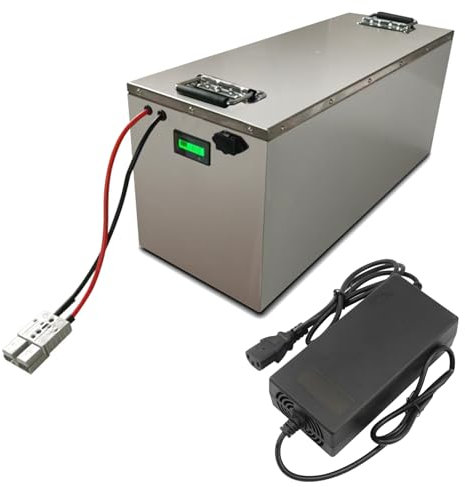 JHKJ Elektrofahrradakku 48V 30Ah 70Ah 50Ah Lithiumbatterie 60V 30Ah 50Ah Ebike-Akku 72V 30Ah mit Ladegerät + Griff + Display für 1500W 2000W 3000W Motoren,48v70ah
