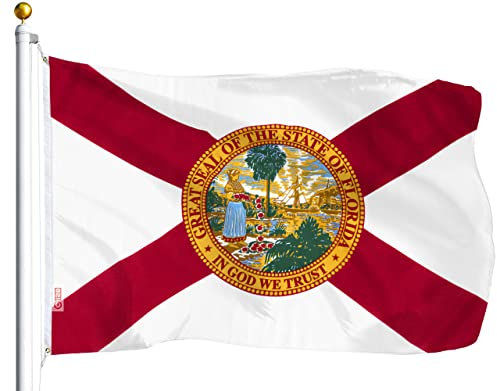 G128 Florida Flag 3x5 ft Printed Flagge 2 messingösen qualität Polyester-Flagge innen/außen