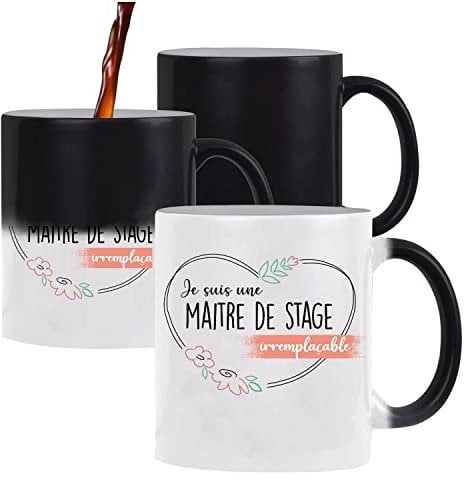 Planetee Mug magique Maitre de stage Irremplaçable | Idée Tasse Cadeau Travail Boulot Métier Départ Retraite Collègue Femme Anniversaire Noël