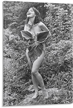 JITENG Bjork Vintage Foto Schlafzimmer Dekoration Leinwand Poster Leinwand Poster Wandkunst Bild Drucke Hängende Foto Dekor Home Poster Kunstwerke 60 x 90 cm