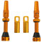 DRELD 2 Stück Fahrrad Tubeless 44mm, 1 Paar Presta Tubeless Ventile, MTB Tublessventiel, Fahrrad Tubeless Presta Aluminiumlegierung, Tubeless Presta Ventilschaft (44mm Gold)