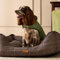 Rosewood x Joules Henson Check Box Bed for Dogs, Medium Dog Bed, Padded Sides, Non-Slip Base, Luxury Pet Bed for Medium Dogs