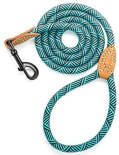 Mile High Life | Laisse pour Chien d'escalade avec Fermoir Robuste en métal Robuste | Connexion sur Mesure en Cuir véritable avec Coutures Solides (Vert, 1.8 M)