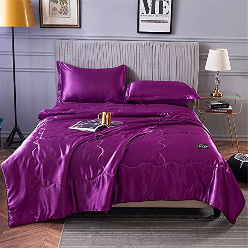 Surwin Trapuntino di Seta Estivo Primaverile Reversibile Copriletto Trapuntato Morbida Microfibra Lussuoso Singolo Matrimoniale Trapunta Trapuntato Leggera Lavabile in Lavatrice (Viola,200x230cm)