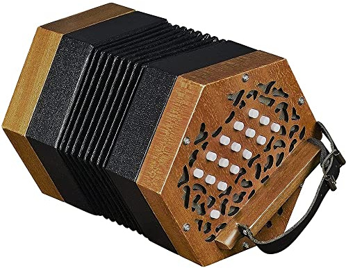 Ziehharmonika-Akkordeon, Handklavier Akkordeon für Erwachsene & Anfänger, inklusive Tragetasche und verstellbarer Handschlaufe, Musikinstrument