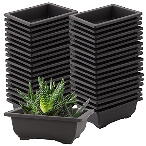 SEUNMUK 30 Stück 16,5 cm Kunststoff-Bonsai-Trainingstöpfe, dicke, rechteckige Kunststoff-Anzuchtstöpfe, Blumentöpfe, Bonsai-Pflanzen, Anzuchttopf für Zuhause, Büro, Balkon, Garten und Hof