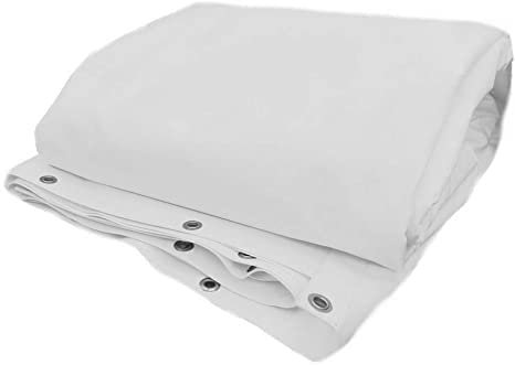 TELONI MASSARO TELO/TELONE PVC 650 gr/mq occhiellato rinforzato varie dimensioni e colori (4 X 4 (16 mq), BIANCO)