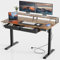 COWISH Standing Desk, Electric Height Adjustable Desk with 3 AC Outlets & 2 USB Ports, 120 * 60 cm Stand Up Desk with 2 Drawers and Large Monitor Stand, Rustic Brown