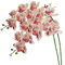 Htmeing Künstliche Phalaenopsis-Blumen, Zweige, fühlen sich echt an (keine Seide), Orchideen-Blumen für Zuhause, Büro, Hochzeitsdekoration, 2 Stück (lila gepunktet)