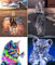 4 Stück 5D Diamond Painting Set, DIY Cross Stitch Stickerei Malerei Kits, Diamant Malerei Malen Nach Zahlen Full Drill Kristall Set, Stickerei Kunsthandwerk House Wall Dekoration (Animals)