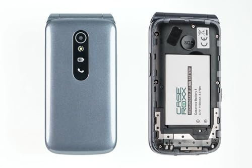 caseroxx Handy Li Ion Akku kompatibel mit SPC Stella 2, Ersatzakku für Ihr Telefon (800 mAh)