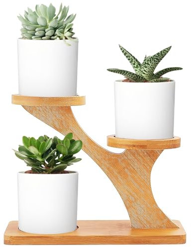 SUPRROW Juego de 3 macetas suculentas de cerámica para plantas de madera, macetas suculentas de madera, bandeja de bambú, decoración de bambú para hogar, oficina, escritorio, decoración de ventanas