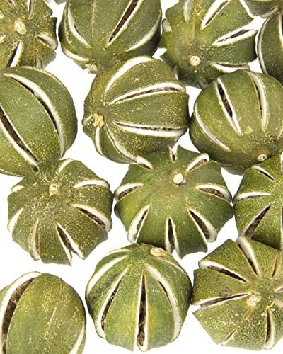 Floralcraft 10Pcs Dried Green Whole Oranges - Fresh Scented Dried Fruit Whole Oranges For Christmas Wreath Garlands, Pot Pourri, Florist Décor