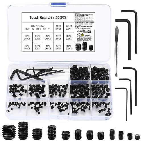 300 Stück Madenschrauben Set, M3/M4/M5/M6/M8 Innensechskant Gewindestifte Schrauben, Sechskantkopf Inbusschraube Schraube für Türgriff, Türklinke, mit Inbusschlüssel (M1,5/M2/M2,5/ M3/M4),