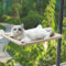 Premium Cat Hammock Window Bed - Cozy Perch for Large Cats - Space-Saving, Sturdy Cat Window Bed