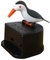 Little-Bird Zahnstocherspender, lustiger Push-Typ-Zahnstocherhalter, Vogelform, Press-Typ, Zahnstocherhalter für Zuhause
