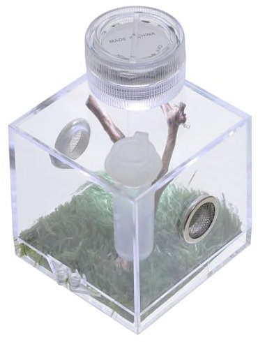 CORHAD Transparente Spinnen Lebensraum Kasten Kleiner Zuchtträger für Springspinnen Futterbehälter mit Luftbefeuchter 2 Stück Leicht für Terrarien und Haustiergehege