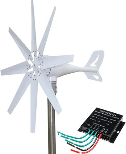 DPQYJPP Power Aerogenerador 10000W 12V/24V/48V Turbina Eolica 8 Palas Aerogenerador Eolico Domesticos Generador Molino Eolico Controlador Carga MPPT para Uso hogar Energía Solar y eólica,24v