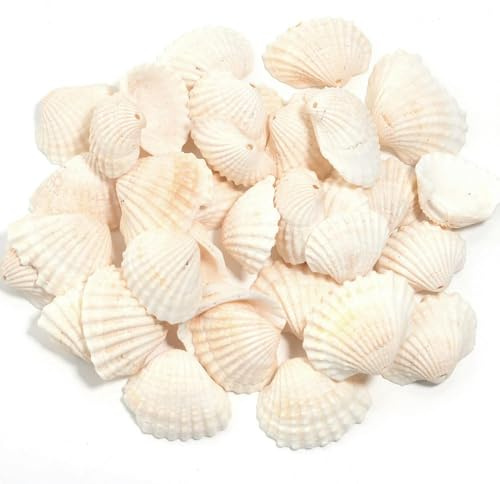 LOUKEKE 30/40/50g Seeblumen-Schneckenhaus-Perlen, lose Abstandsperlen, DIY-Schmuck, Armband, Anhänger, Telefon, Schlüssel, Tasche, Kette, Zubehör