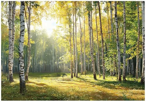 WallArena Non-Woven Fototapet Boho fjädrar – 250x175 cm – Fototapet 3D Effekt För Vardagsrum Och Sovrum – Modern Väggtapet I Vlies, Inkl. Lim – beige vit naturfärgad