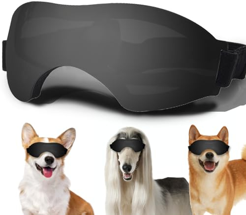 Comfort Canine Sonnenbrille – mittelgroße Hundebrille mit verstellbarem Riemen, UV-Schutz für Hundeaugen