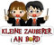 Baby an Bord Aufkleber, Zaubererduo an Bord, Zwillinge an Bord, hochwertiges Vinyl, Autoaufkleber, modern und lustig, 100% Französisch