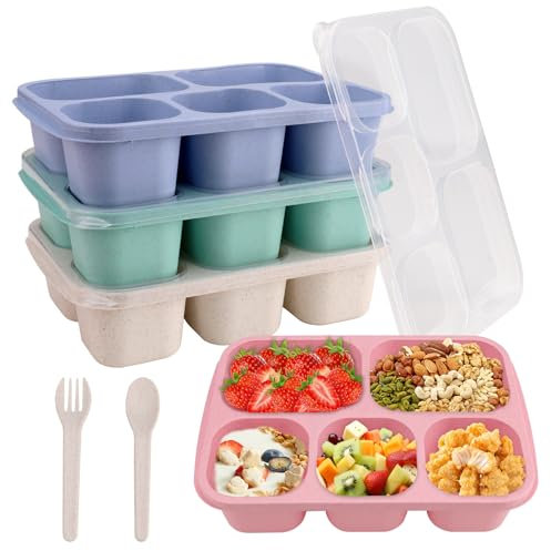 CRITIVE-SHOP 4PCS Bento Lunch Boxen Erwachsene, Snack-Box mit 5 Fächern, Bento Boxen Geteilt Lebensmittel Lagerung Container mit Löffel Gabel, Lunch-Boxen für Schule Arbeit, Mikrowelle Sicherheit