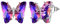 Aurora Tears Lila Schmetterling Herz Ohrstecker Frauen 925 Sterling Silber Tier Schmetterlinge Februar Erstellt Amethyst Geburtsstein Kristall Hochzeit Geburtstag Schmuck DE0253F
