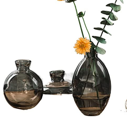 Jarrones for Flores, 3 uds, jarrón de Cristal clásico, casa Transparente, decoración, habitación, Botellas de reactivo, jarrón de Flores, Venta al por Mayor, Azul florero (Size : 3pcs 3)