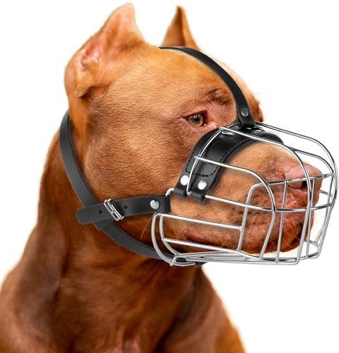 CleverTail Großer Pitbull-Maulkorb gegen Beißen – Metallkorb für Pitbull mit verstellbaren Lederriemen – Käfig-Hundemaulkorb für große Hunde, Pitt Bull, Cane Corso, American Bully