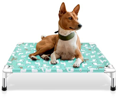Elevated Dog Bed - Dog Cots Beds for Medium Dogs with Non-Slip Feet | Detachable Raised Dog Beds for Medium Dogs
