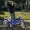 24in Dreirad für Erwachsene, Tricycle mit Korb|Bell,Einstellbares 3-Rad Fahrrad,7-Gänge Dreirad mit Rückenlehne Sitzkissen,120kg Senior Fahrrad mit 3-Rädern für Outdoor Shopping