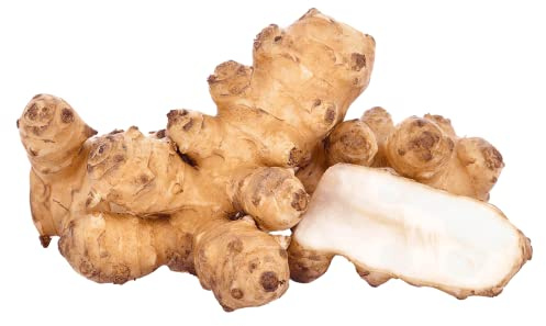 greenist frische bio Topinambur Knollen 1er Pack (1 x 1 kg)